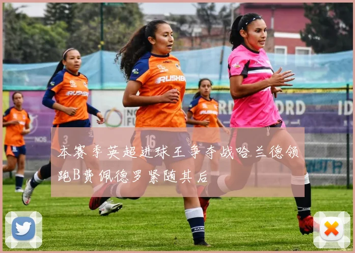 本赛季英超进球王争夺战哈兰德领跑B费佩德罗紧随其后